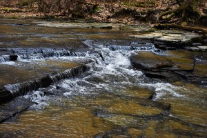 Creek